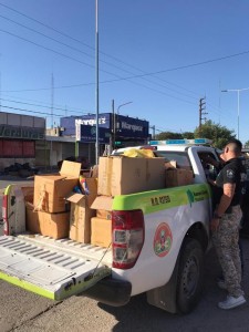 operativo pirotecnia 1