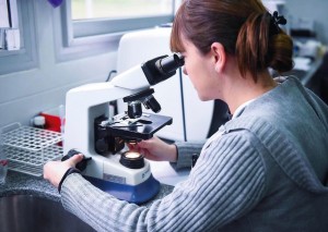 notificado de la municipalidad