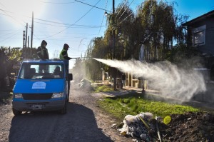 Escobar sostenible 3