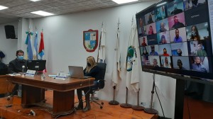 reunion comisiones HCD 2